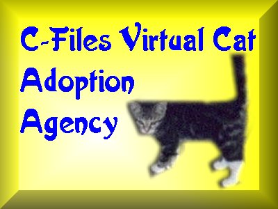 C-Files Virtual Cat Adoption Ageny