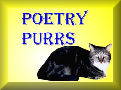 Poetry Purrs